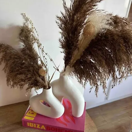Superbe 2 Pieces Avec Terrasse Roquebrune-Cap-Martin